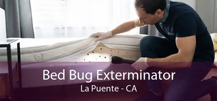 Bed Bug Exterminator La Puente - CA