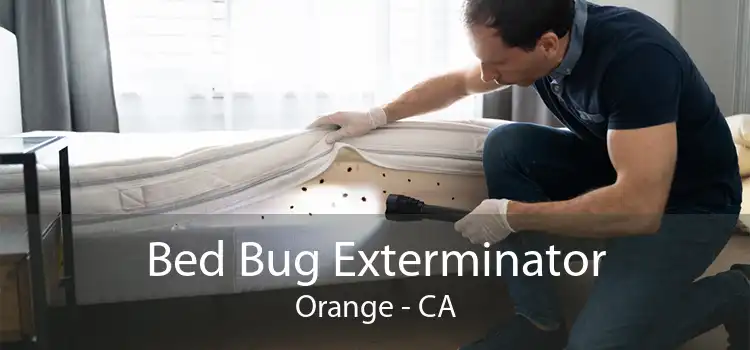 Bed Bug Exterminator Orange - CA
