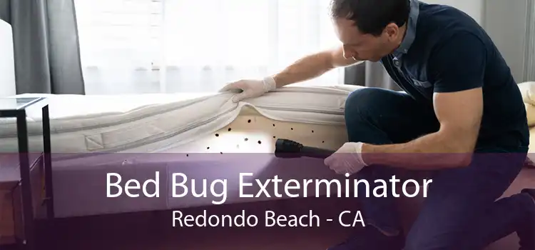 Bed Bug Exterminator Redondo Beach - CA