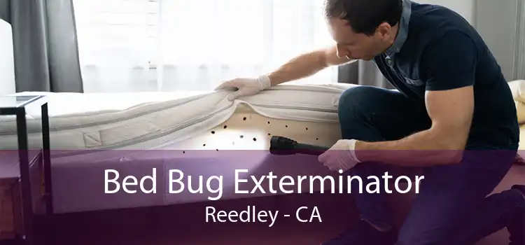 Bed Bug Exterminator Reedley - CA