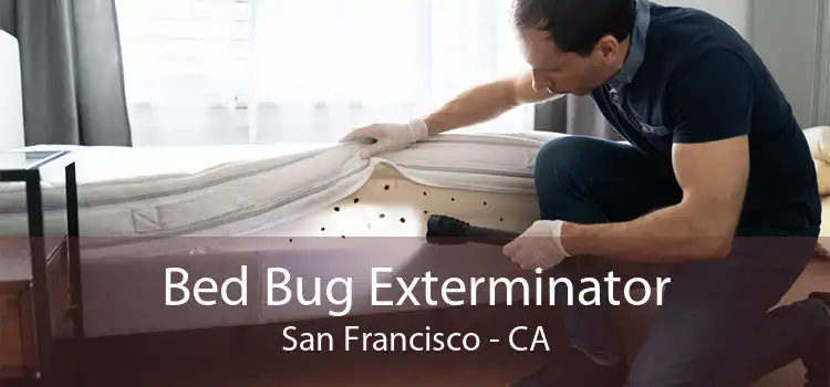Bed Bug Exterminator San Francisco - CA