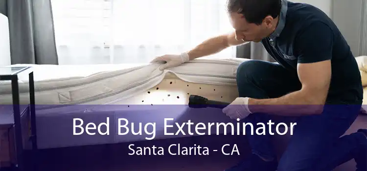 Bed Bug Exterminator Santa Clarita - CA