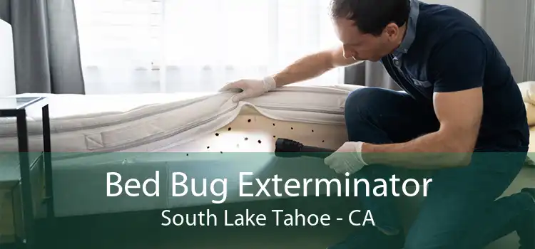 Bed Bug Exterminator South Lake Tahoe - CA