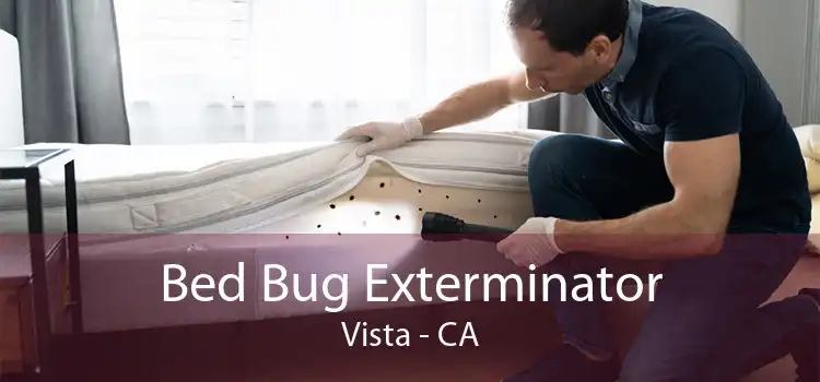 Bed Bug Exterminator Vista - CA