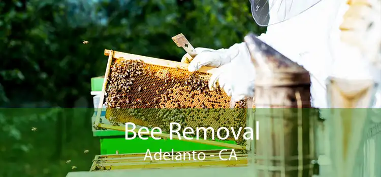 Bee Removal Adelanto - CA