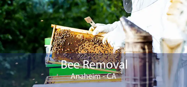 Bee Removal Anaheim - CA