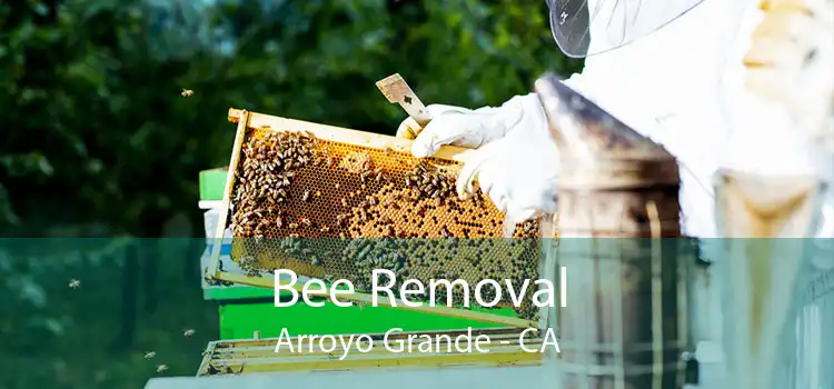 Bee Removal Arroyo Grande - CA