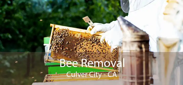 Bee Removal Culver City - CA