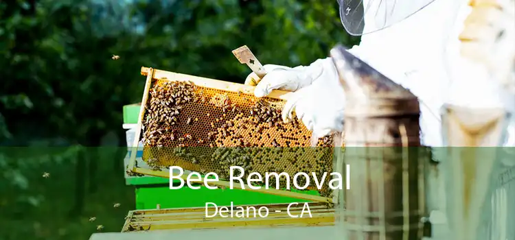 Bee Removal Delano - CA