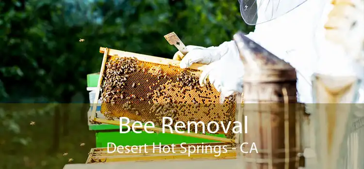 Bee Removal Desert Hot Springs - CA