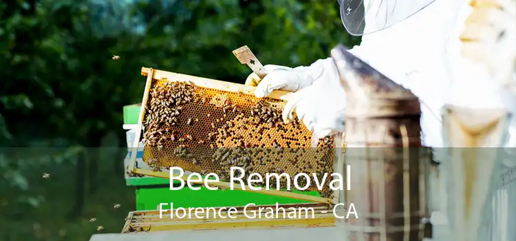 Bee Removal Florence Graham - CA