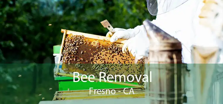 Bee Removal Fresno - CA