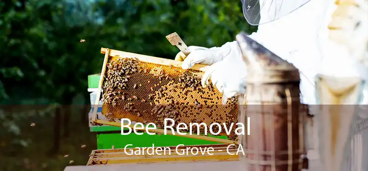 Bee Removal Garden Grove - CA