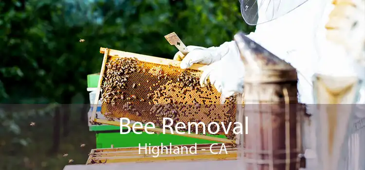 Bee Removal Highland - CA