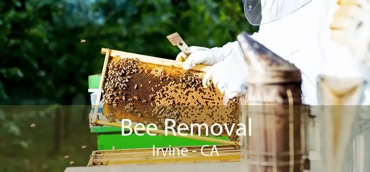 Bee Removal Irvine - CA