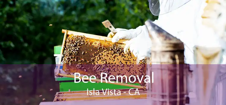 Bee Removal Isla Vista - CA