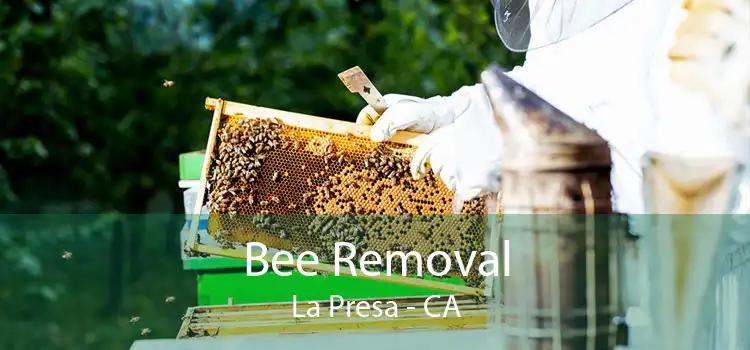 Bee Removal La Presa - CA