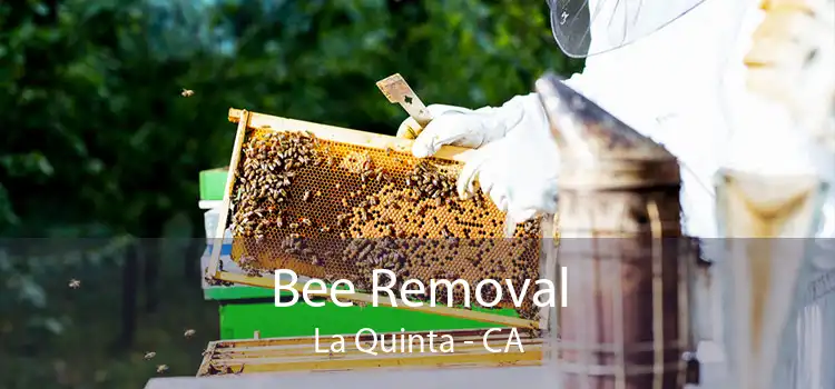 Bee Removal La Quinta - CA