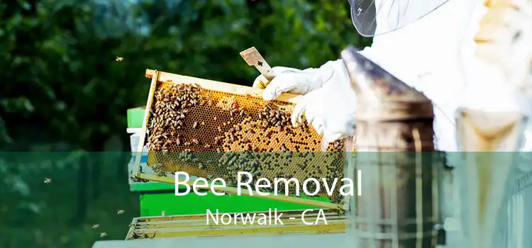 Bee Removal Norwalk - CA