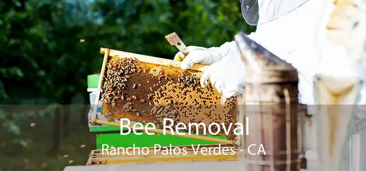 Bee Removal Rancho Palos Verdes - CA