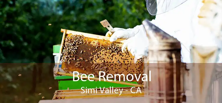 Bee Removal Simi Valley - CA
