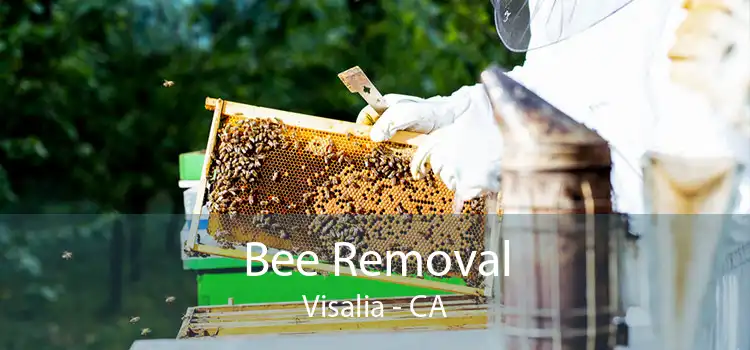 Bee Removal Visalia - CA