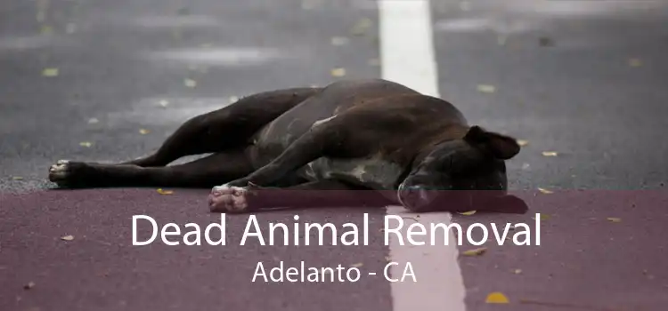 Dead Animal Removal Adelanto - CA