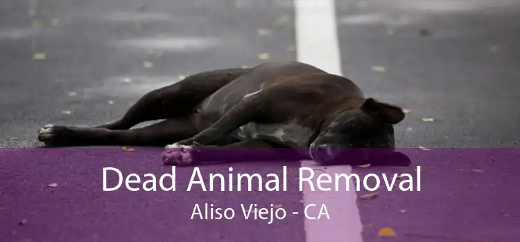 Dead Animal Removal Aliso Viejo - CA