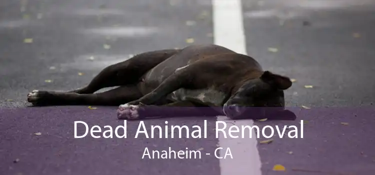 Dead Animal Removal Anaheim - CA