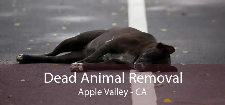 Dead Animal Removal Apple Valley - CA