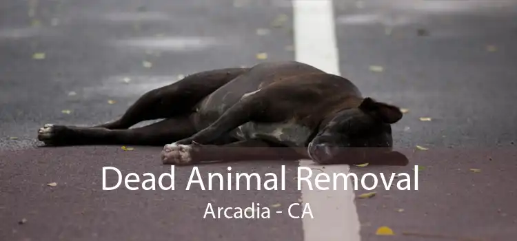 Dead Animal Removal Arcadia - CA
