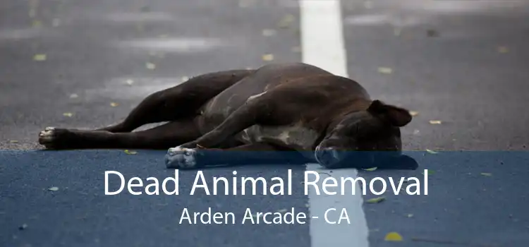 Dead Animal Removal Arden Arcade - CA