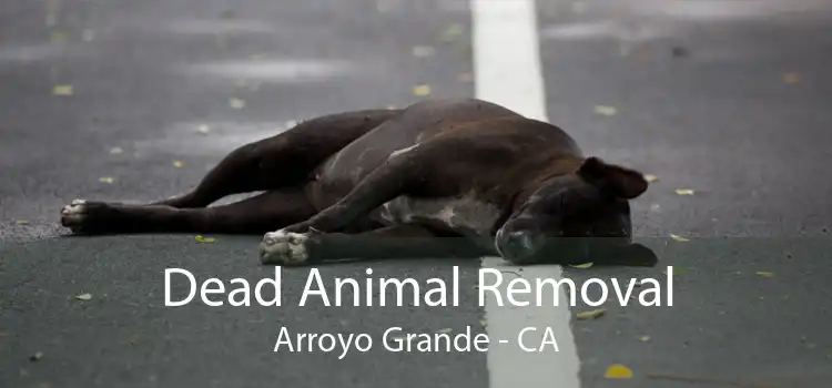 Dead Animal Removal Arroyo Grande - CA