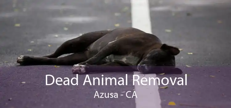 Dead Animal Removal Azusa - CA
