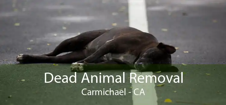 Dead Animal Removal Carmichael - CA