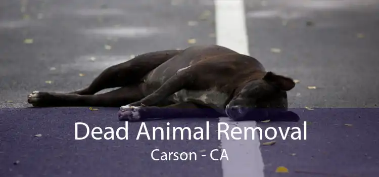 Dead Animal Removal Carson - CA