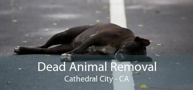 Dead Animal Removal Cathedral City - CA