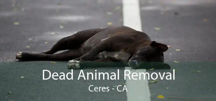 Dead Animal Removal Ceres - CA
