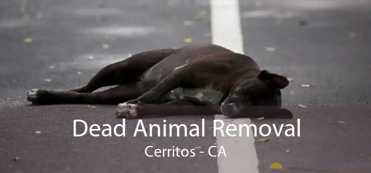 Dead Animal Removal Cerritos - CA