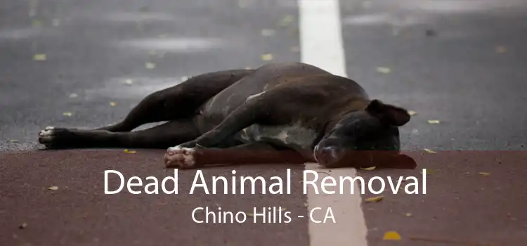Dead Animal Removal Chino Hills - CA