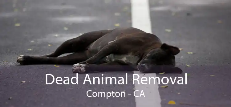Dead Animal Removal Compton - CA