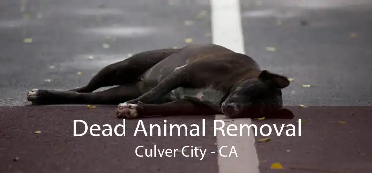 Dead Animal Removal Culver City - CA