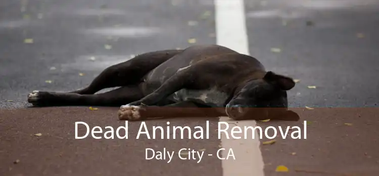 Dead Animal Removal Daly City - CA