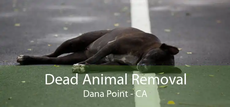 Dead Animal Removal Dana Point - CA