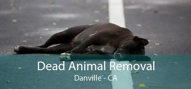 Dead Animal Removal Danville - CA