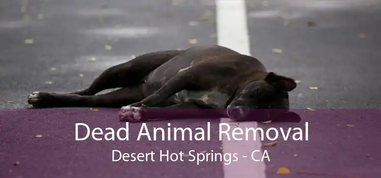 Dead Animal Removal Desert Hot Springs - CA