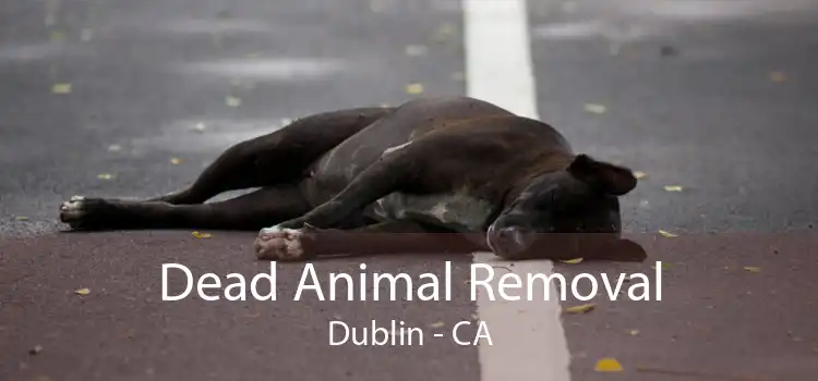 Dead Animal Removal Dublin - CA