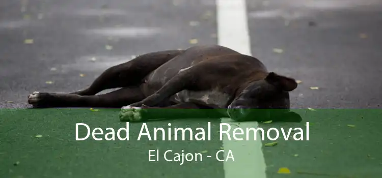 Dead Animal Removal El Cajon - CA