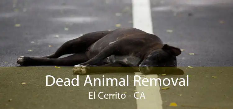 Dead Animal Removal El Cerrito - CA