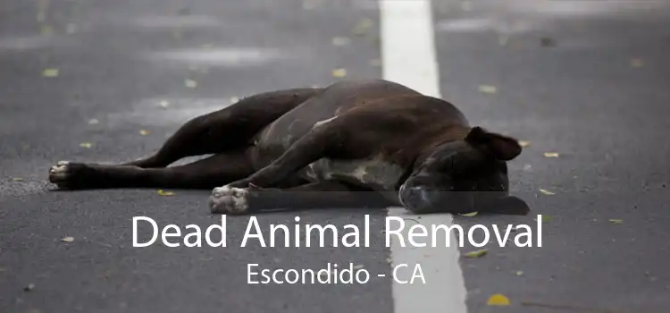 Dead Animal Removal Escondido - CA